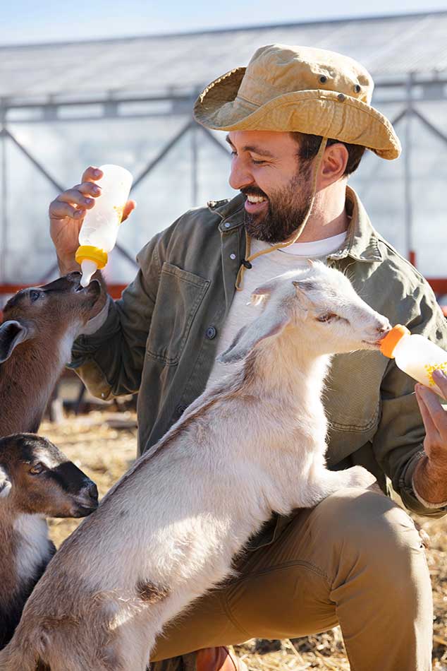 hostl.cabras-con-leche-de-una-botella